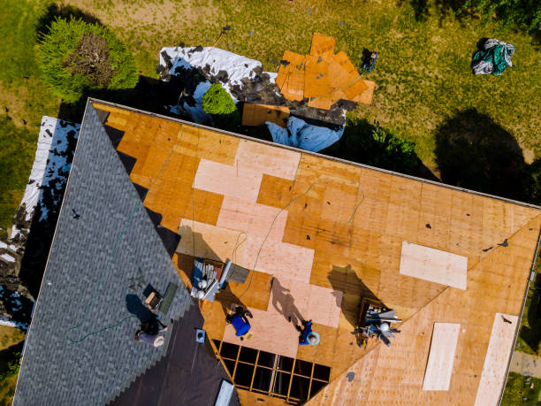 Quick and Trustworthy Emergency Roof Repair Services in Daisetta, TX