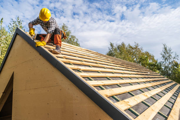 Best Storm Damage Roof Repair  in Daisetta, TX